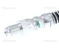 TRISCAN Brzdov hadice TRI 8150 28115, 8150 28115