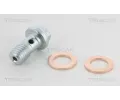 TRISCAN Brzdov hadice TRI 8150 29143, 8150 29143