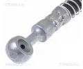 TRISCAN Brzdov� hadice TRI 8150 43165, 8150 43165
