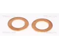 TRISCAN Brzdov� hadice TRI 8150 80126, 8150 80126