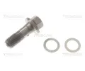 TRISCAN Brzdov� hadice TRI 8150 81008, 8150 81008