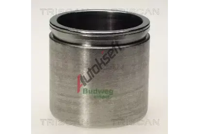 TRISCAN Píst brzdového třmenu TRI 8170 235716, 8170 235716 TRISCAN Píst brzdového třmenu TRI 8170 235716, 8170 235716