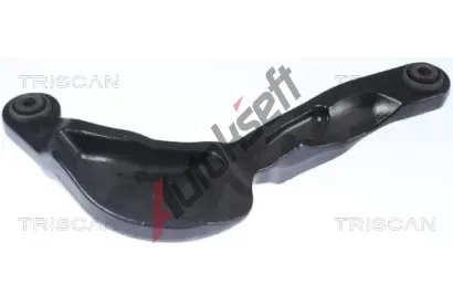 TRISCAN Rameno zav�en� kol TRI 8500 27548, 8500 27548