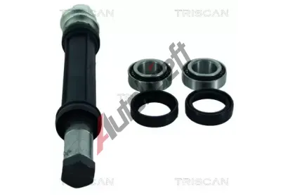 TRISCAN Sada na opravu pnho zvsnho ramena TRI 8500 38400, 8500 38400