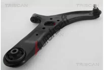 TRISCAN Rameno zaven kol TRI 8500 435031, 8500 435031