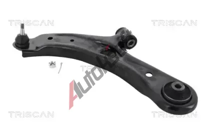 TRISCAN Rameno zaven kol TRI 8500 69522, 8500 69522