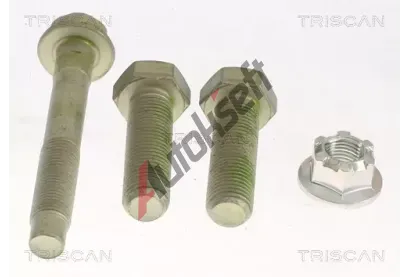 TRISCAN Snmac krouek ABS TRI 8540 25402, 8540 25402