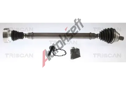 TRISCAN Hnac hdel TRI 8540 297006, 8540 297006