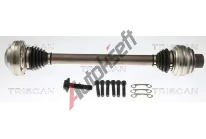 TRISCAN Hnac hdel TRI 8540 297017, 8540 297017