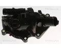 TRISCAN Termostat chladiva&nbsp;&dash;&nbsp;TRI 8620 55998