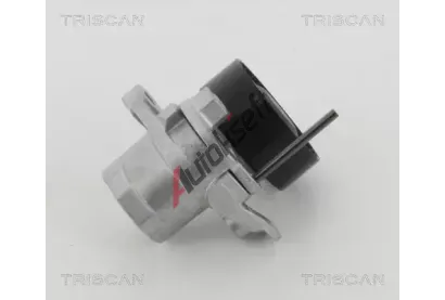 TRISCAN Napínák drážkového klínového řemenu TRI 8641 293053, 8641 293053 TRISCAN Napínák drážkového klínového řemenu TRI 8641 293053, 8641 293053