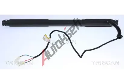 TRISCAN Plynov vzpra zavazadlovho prostoru TRI 8710 11304, 8710 11304