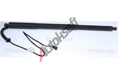TRISCAN Plynov� vzp�ra zavazadlov�ho prostoru TRI 8710 11305, 8710 11305