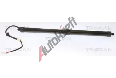 TRISCAN Plynov vzpra zavazadlovho prostoru TRI 8710 13302, 8710 13302