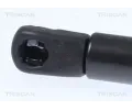 TRISCAN Plynov vzpra zavazadlovho prostoru TRI 8710 23297, 8710 23297