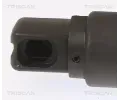 TRISCAN Plynov vzpra zavazadlovho prostoru TRI 8710 23304, 8710 23304