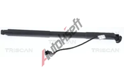 TRISCAN Plynov vzpra zavazadlovho prostoru TRI 8710 27302, 8710 27302