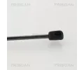 TRISCAN Plynov vzpra zavazadlovho prostoru TRI 8710 292049, 8710 292049