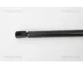 TRISCAN Plynov vzpra zavazadlovho prostoru TRI 8710 29272, 8710 29272