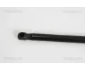 TRISCAN Plynov vzpra zavazadlovho prostoru TRI 8710 29279, 8710 29279