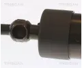 TRISCAN Plynov vzpra zavazadlovho prostoru TRI 8710 29303, 8710 29303