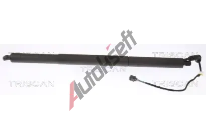 TRISCAN Plynov vzpra zavazadlovho prostoru TRI 8710 29306, 8710 29306
