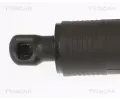 TRISCAN Plynov vzpra zavazadlovho prostoru TRI 8710 29306, 8710 29306