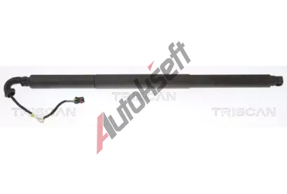 TRISCAN Plynov vzpra zavazadlovho prostoru TRI 8710 29308, 8710 29308