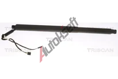 TRISCAN Plynov vzpra zavazadlovho prostoru TRI 8710 29312, 8710 29312