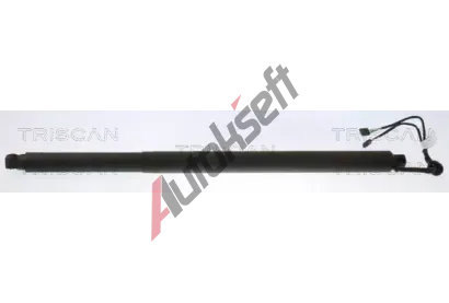 TRISCAN Plynov vzpra zavazadlovho prostoru TRI 8710 29314, 8710 29314