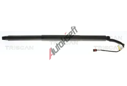 TRISCAN Plynov� vzp�ra zavazadlov�ho prostoru TRI 8710 29320, 8710 29320