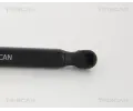TRISCAN Plynov vzpra zavazadlovho prostoru TRI 8710 38239, 8710 38239