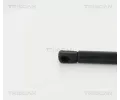 TRISCAN Plynov vzpra zavazadlovho prostoru TRI 8710 38246, 8710 38246
