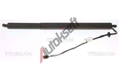 TRISCAN Plynov vzpra zavazadlovho prostoru TRI 8710 43302, 8710 43302
