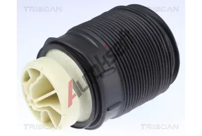 TRISCAN Vzduchov pruina podvozku TRI 8720 23201, 8720 23201