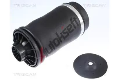TRISCAN Vzduchov pruina podvozku TRI 8720 23204, 8720 23204