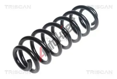 TRISCAN Pruina podvozku TRI 8750 29391, 8750 29391