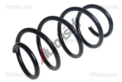TRISCAN Pruina podvozku TRI 8750 29486, 8750 29486
