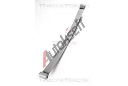 TRISCAN Paket pruin TRI 8765 28002, 8765 28002
