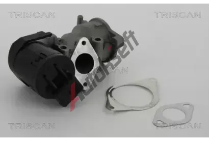 TRISCAN AGR ventil TRI 8813 10001, 8813 10001