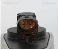 TRISCAN AGR ventil TRI 8813 10002, 8813 10002