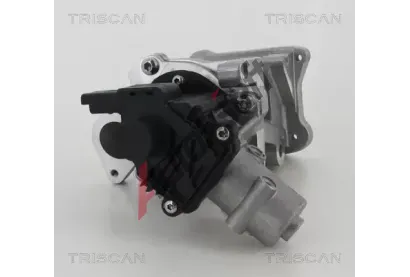 TRISCAN AGR ventil TRI 8813 10007, 8813 10007