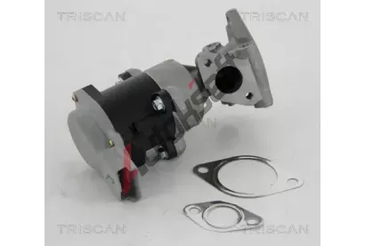 TRISCAN AGR ventil TRI 8813 10008, 8813 10008