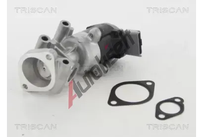 TRISCAN AGR ventil TRI 8813 10009, 8813 10009