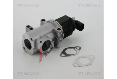 TRISCAN AGR ventil TRI 8813 10015, 8813 10015