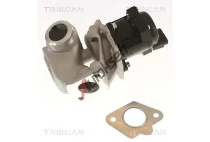 TRISCAN AGR ventil TRI 8813 10018, 8813 10018
