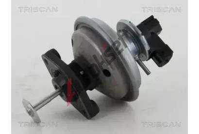 TRISCAN AGR ventil TRI 8813 11002, 8813 11002