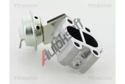 TRISCAN AGR ventil TRI 8813 13060, 8813 13060