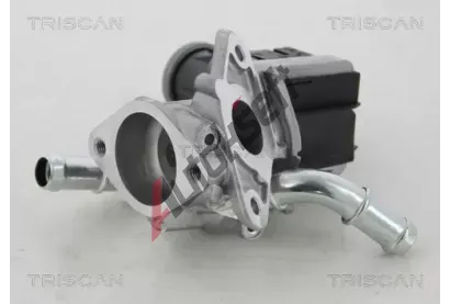 TRISCAN AGR ventil TRI 8813 16036, 8813 16036