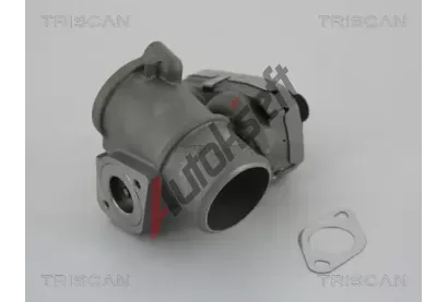 TRISCAN AGR ventil TRI 8813 16101, 8813 16101